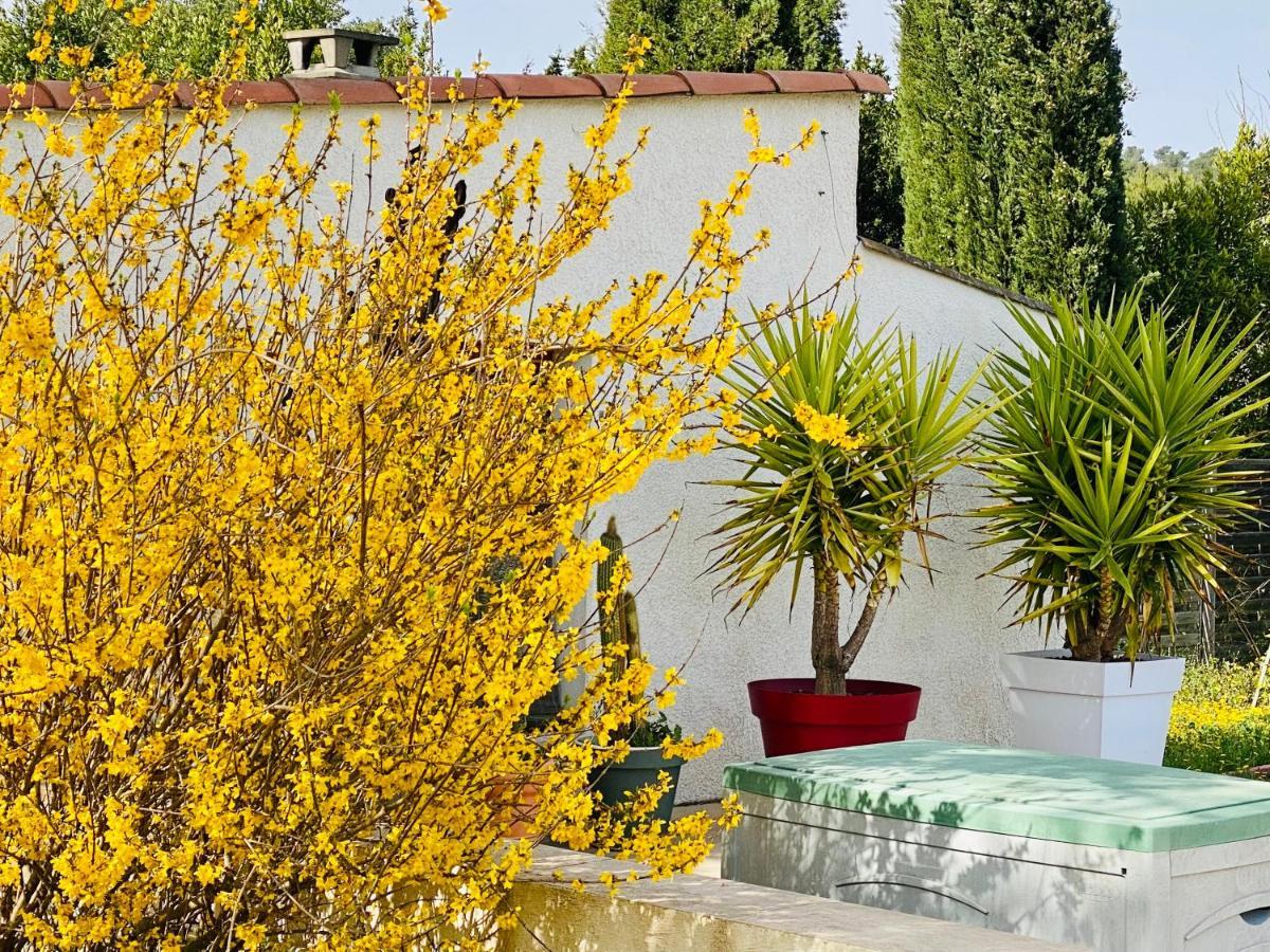 Bed and Breakfast Mas Des Tournevents Lézignan-Corbières Zewnętrze zdjęcie